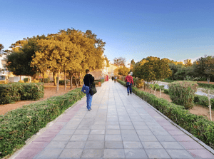 Paved path at the University of Malta with a couple of students walking in the early morning